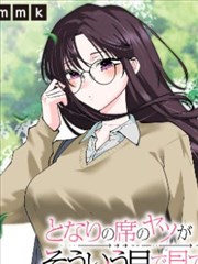 条目图鉴卡片:长夏手札的分类占位封面