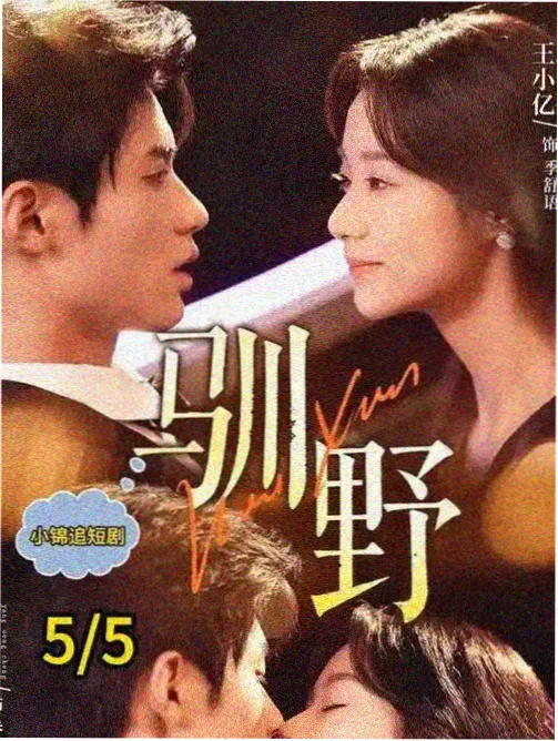 条目图鉴卡片:灯下夜市的分类占位封面